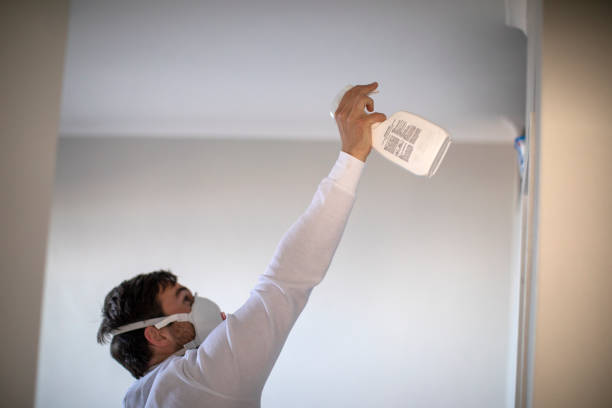 Best DIY Mold Remediation Support Services in Gruver, TX