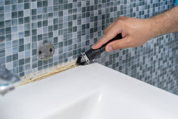 Best Kitchen Mold Remediation in Gruver, TX
