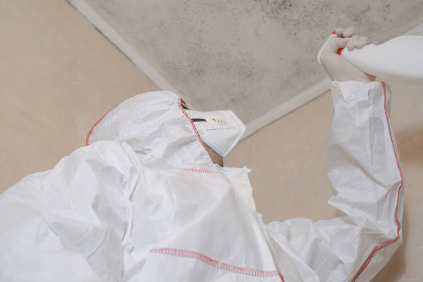 Best Emergency Mold Remediation in Gruver, TX